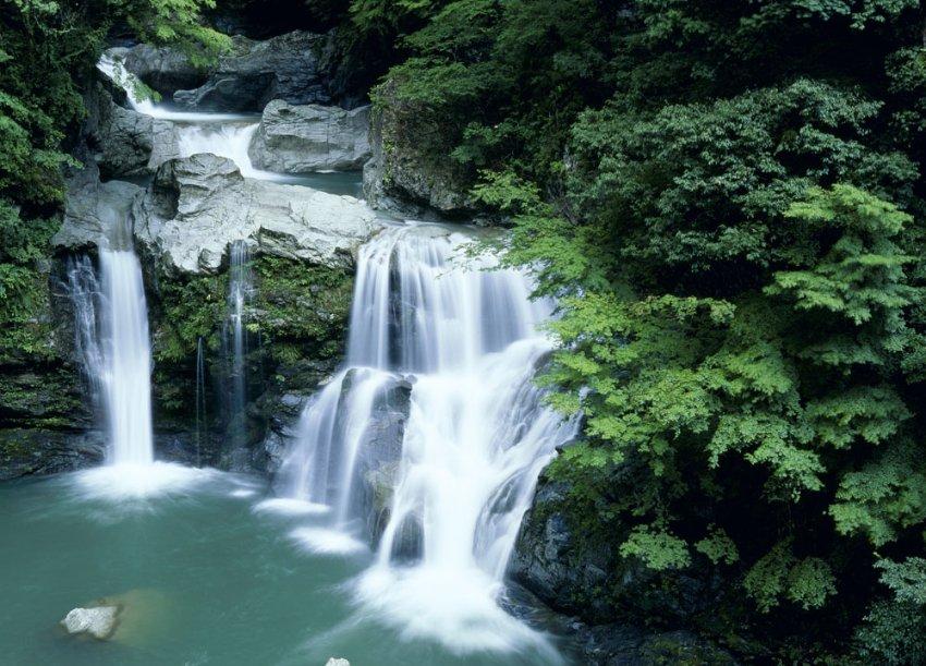 月光影视